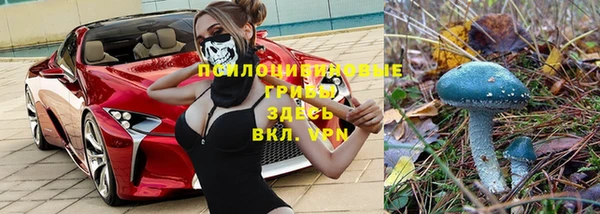 МДПВ Вязьма